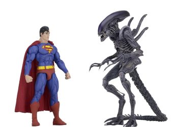 O Guia de Sobrevivência contra Falsificações