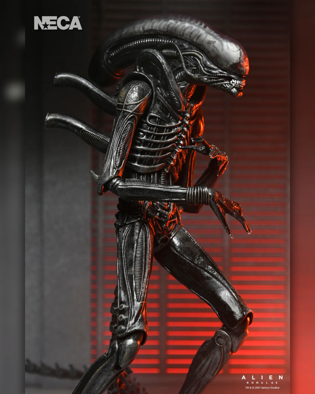51742_Alien_Romulus_Ult_Xeno_XX121_12