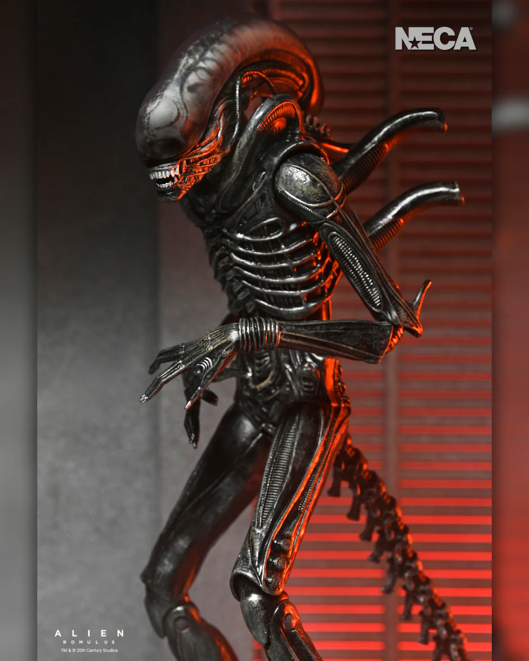 51742_Alien_Romulus_Ult_Xeno_XX121_8