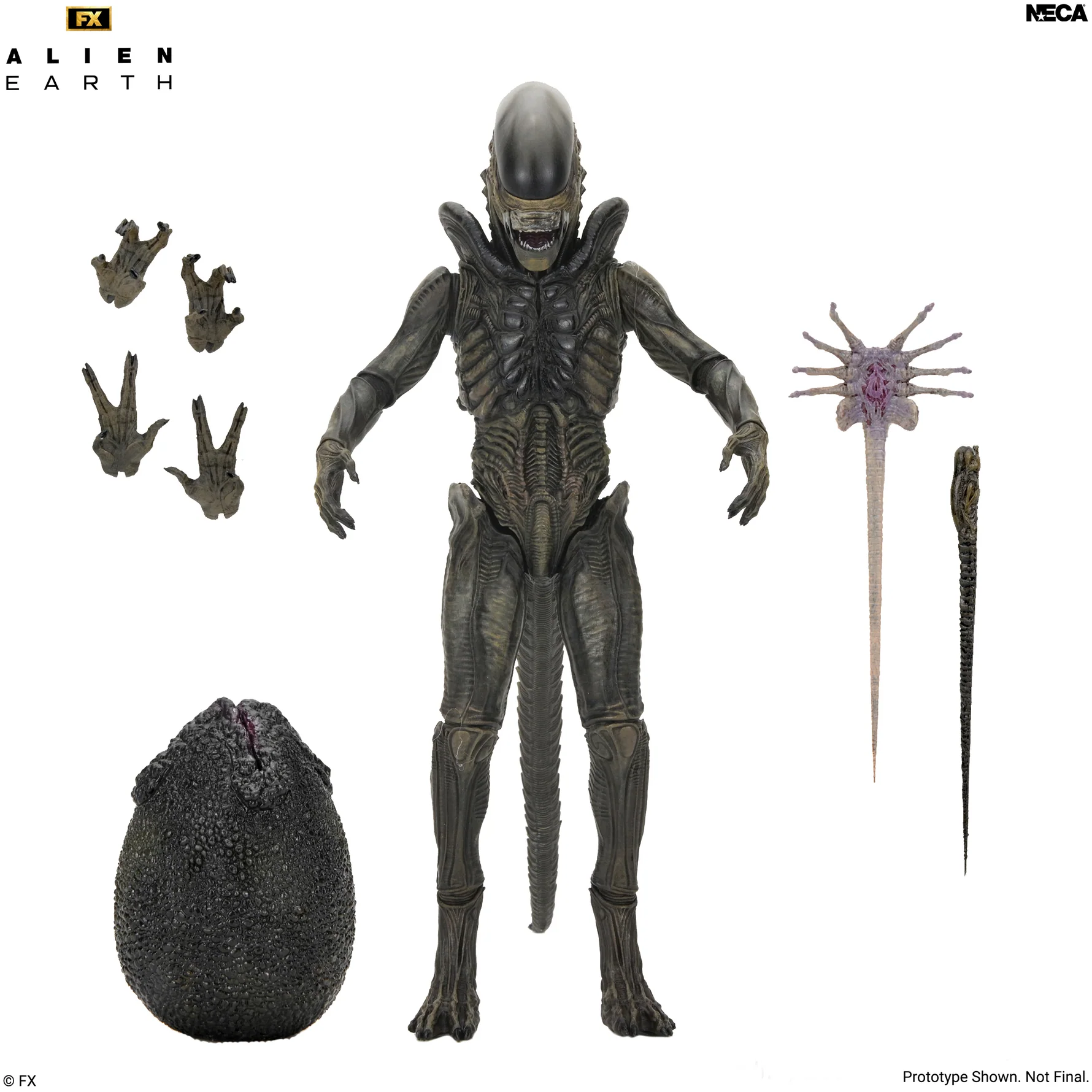51756_UNP_1_REVISED