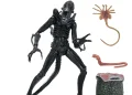 NECA anuncia figura de ação definitiva do Xenomorfo Guerreiro para o 40º aniversário de “Aliens”