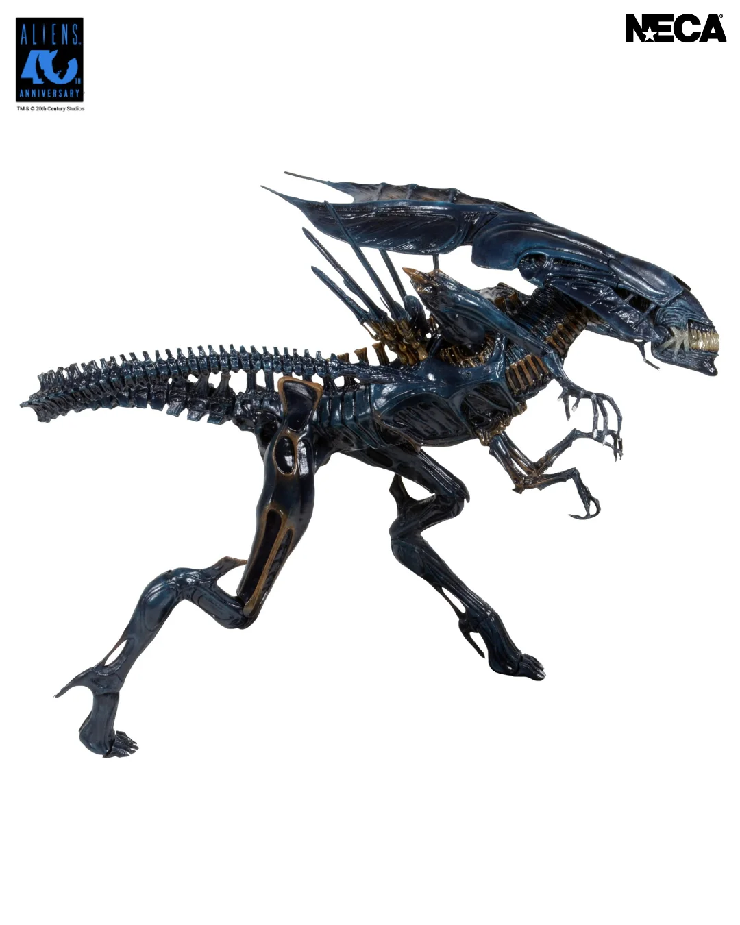 51800_Alien_Queen_3-RESIZED2